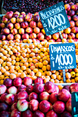 Market stall with nectarines, apricots and cherries