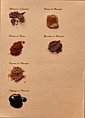 Primer on chocolate