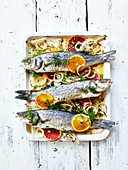 Bass with onions,citrus fruit and dill