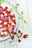 Obstkuchen mit Himbeeren, Aprikosen, roten Johannisbeeren, Essblüten und Sahne