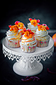 Blutorangen-Cupcakes mit kandierten Orangenschalen