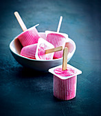 Raspberry ice cream Petits-suisses