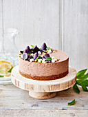 Schokoladenmousse-Torte mit Marshmallows und Johannisbeergelee dekoriert