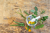 Flowers and healing plants in a mortar for essential oils