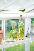 Homemade tarragon vinegar