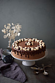 Chocolate cake with cream rosettes