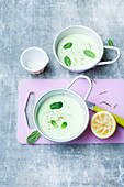 Fresh cucumber soup with mint