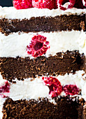 Close-up of a chocolate raspberry layer cake