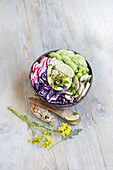 Raw food bowl with cucumber, mushrooms, red cabbage and radishes
