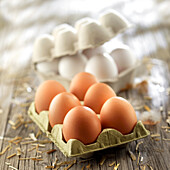 Brown and white eggs in egg cartons