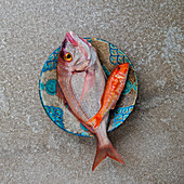 Sea bream and red mullet