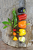 Various kinds of peppers