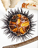 Sea urchin served with bread