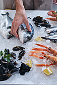 Fishmonger's stall with sea bream, mussels, sardines and langoustines