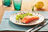 Raw salmon fillet