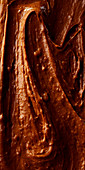 Chocolate praline spread and slice of brioche