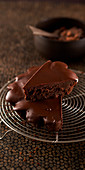 Schokoladenkuchen mit Schokoladenglasur