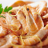 Shrimp in close-up