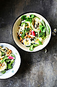 Gemischter Frühlingssalat mit Avocado, Feldsalat, Brokkoli, Radieschen und Ei