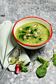 Radish soup