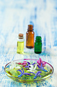Bottles of essential oils of hyacinth