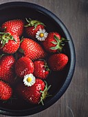 Frische Erdbeeren mit Gänseblümchen in Schüsssel