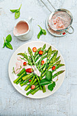 Green asparagus with strawberry and basil cream,raspberry vinegar sauce