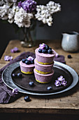 Blueberry vegan mini cheesecakes