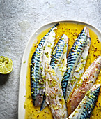 Confit mackerels with lemon and ginger