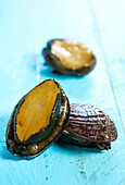 Abalone (Nahaufnahme)