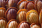 Madeleines (full picture)