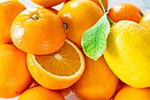 Orangen und Zitronen (bildfüllend)