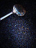 Many blueberries with slotted spoon