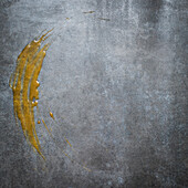 Remains of liquid caramel on a grey background