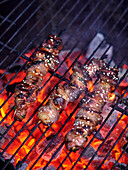 Duck skewers on the barbecue grill
