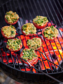 Tomatoes Provençal style on the grill