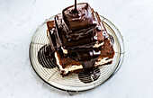 Multi-tiered chocolate cake with truffle cream