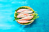 Fresh red mullet on plate against blue background