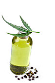 Bottle with hemp oil in a glass bottle, a hemp leaf in front of hemp seeds