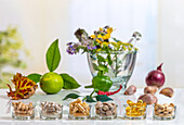 Various capsules and tablets for dietary supplements