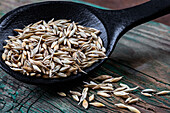 Wooden spoonful of oat grains