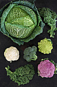 Different types of cabbage on a dark background