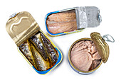 Open cans of tuna and sardines