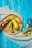Zephyr variety of courgettes