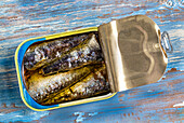 Canned sardines in oil, open