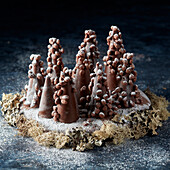 Baked Christmas Forest