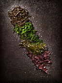Assortment of algaes with salt