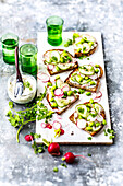 Spring tartines with ricotta and herbs, edamame, cucumber and radish