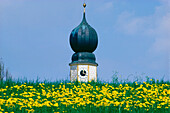 Typical church before flower meadow, Gut Ising, Upper Bavaria, Germany