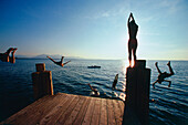 Teenager jumping from jetty in lake, Upper Bavaria, Germany, Chieming, Chiemsee, Upper Bavaria